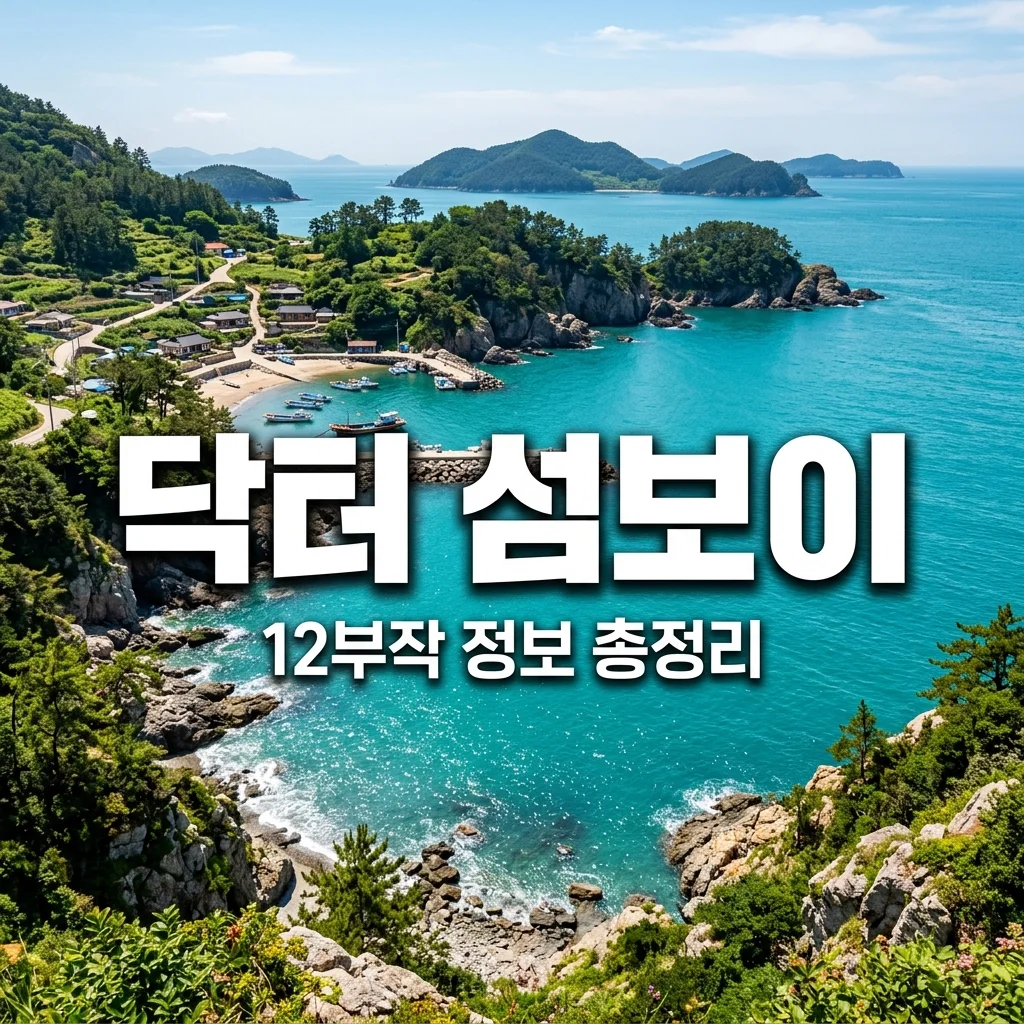 닥터 섬보이 몇부작? OTT 원작 줄거리 등장인물 완벽 정리!