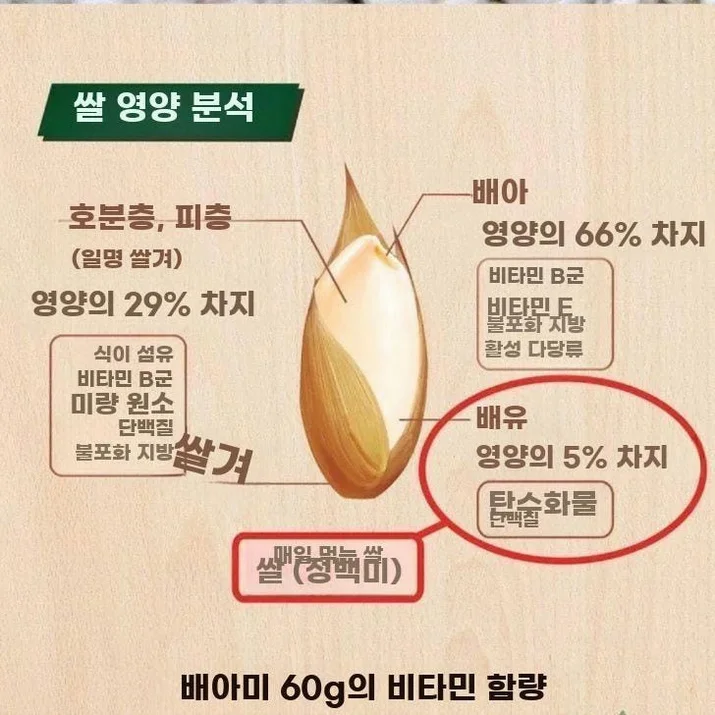 가정용 자동 현미제분기 다기능 도정기 탈곡 분쇄 상세 이미지 3