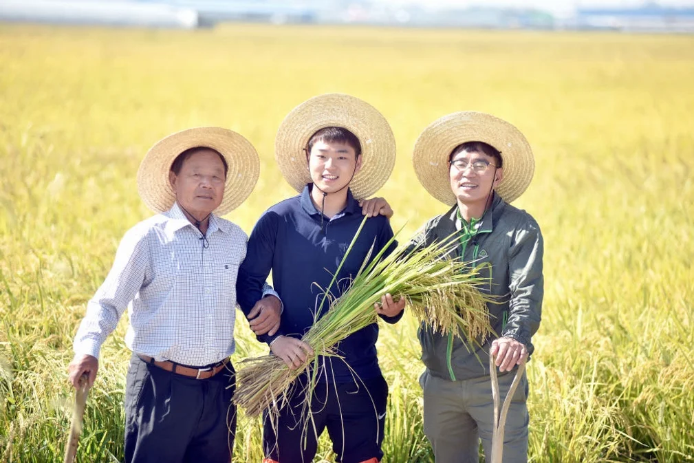 소문난농부 삼광 현미 5kg 10kg 20kg 당일도정 2025년산 햅쌀 [원산지:국산] 상세 이미지 6