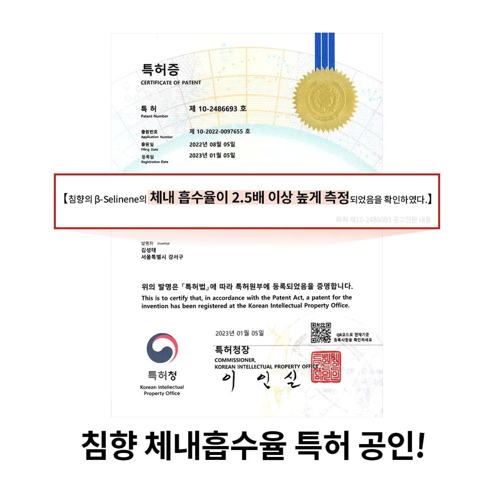 조선비책 침향환 초고함량 발효 침향 효능 침향단 체내흡수2.5배 침향원 1박스60환 [원산지:상세설명에 표시] 상세 이미지 3