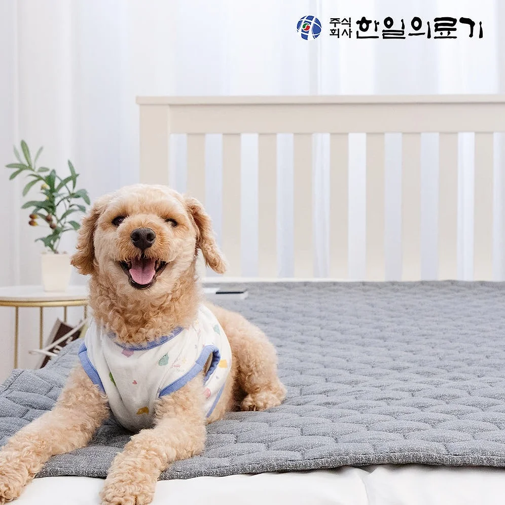 한일의료기 탄소매트 전기매트 온열매트 전자파없는 1인용 전기장판 캠핑 전기요 싱글 프리즘 상세 이미지 6